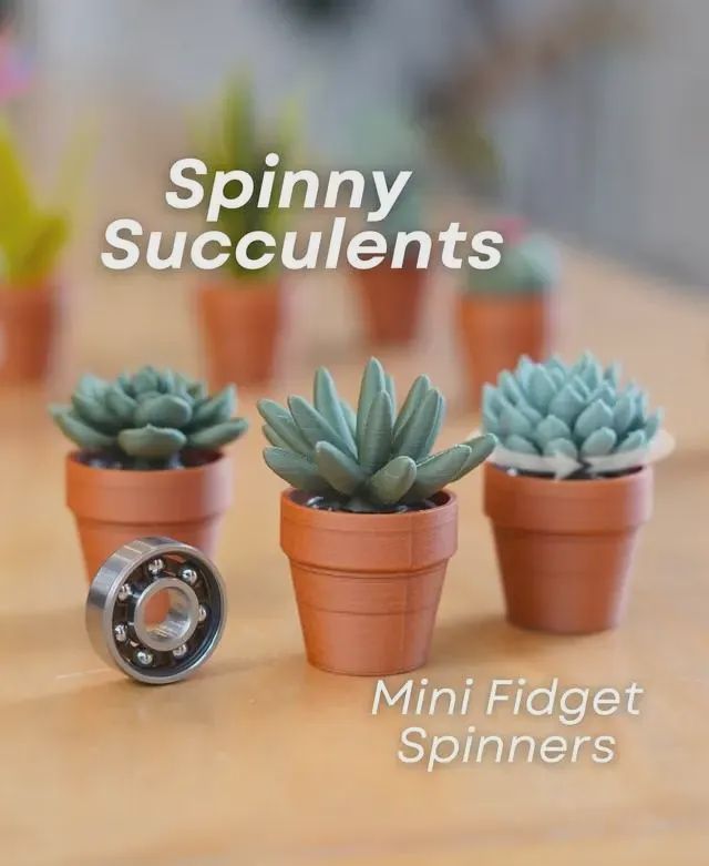 Spinny Succulents - Fidget Toy