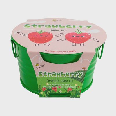 Buzzy Seeds Kids Mini Basin - Strawberry Grow Kit