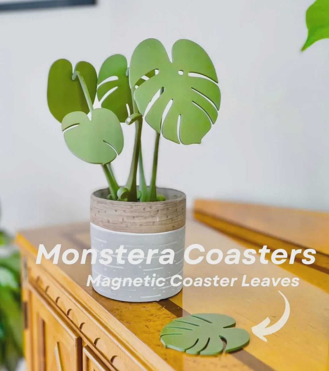 Monstera Coaster