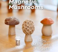 Mushroom Magnets