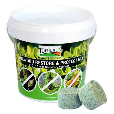 Topbuxus® Boxwood Restore &amp; Protect 8-0-10 Mix