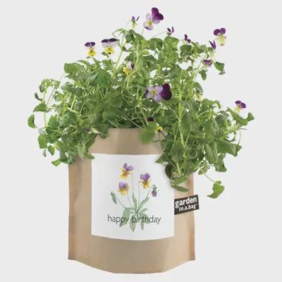 Garden in A Bag | Happy Birthday | Best Seller