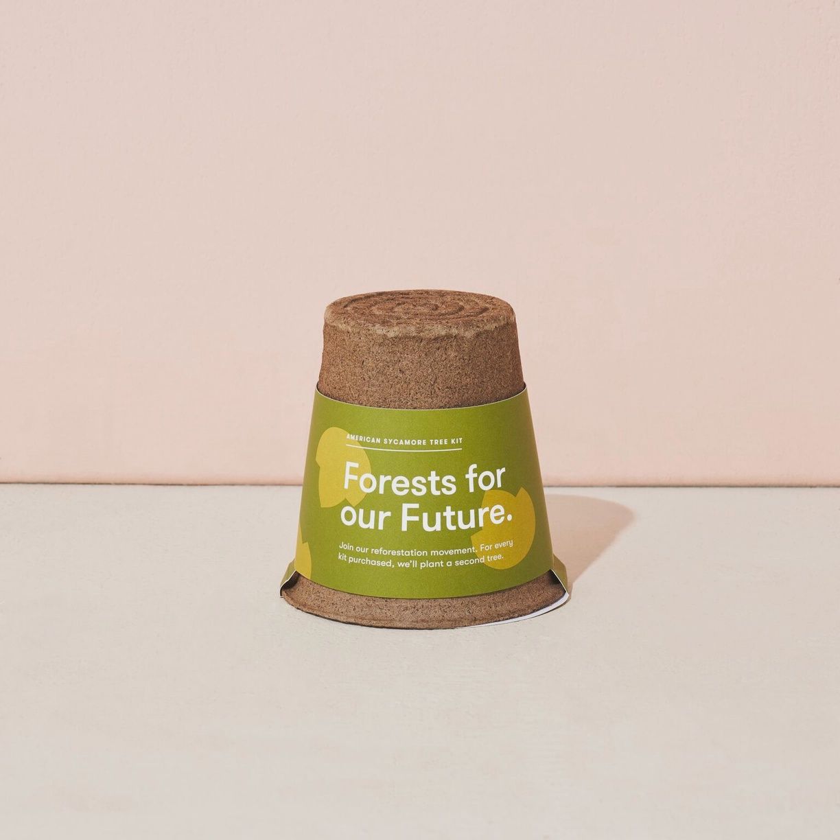 One-For One Tree Kit American Sycamore