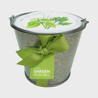 Garden in A Pail | Herb | Great Gift For Cooks | Best Seller