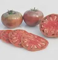 Tomato-Cherokee Purple