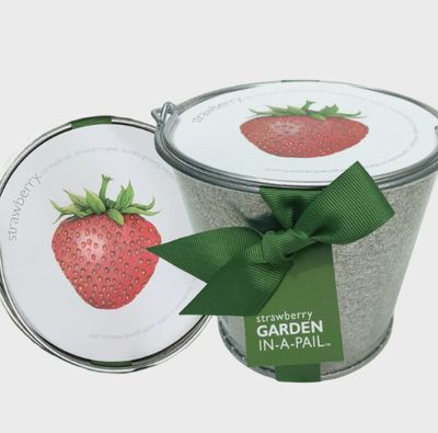 Gifts &amp; Home