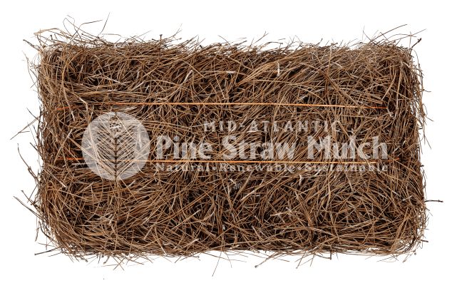 Natural Longleaf Pine Straw Mulch Bale