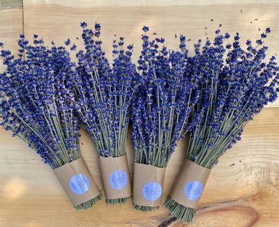 Dried English Lavender Bouquets
