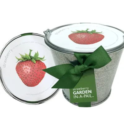 Garden in A Pail | Strawberry | Spring |Great Gift For Cooks