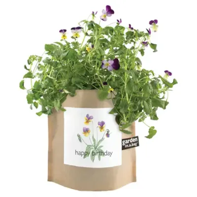 Garden in A Bag | Happy Birthday | Best Seller