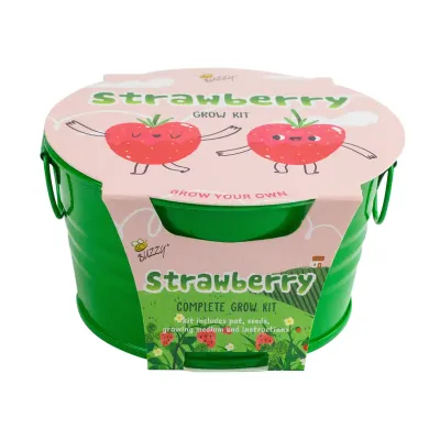 Buzzy Seeds Kids Mini Basin - Strawberry Grow Kit