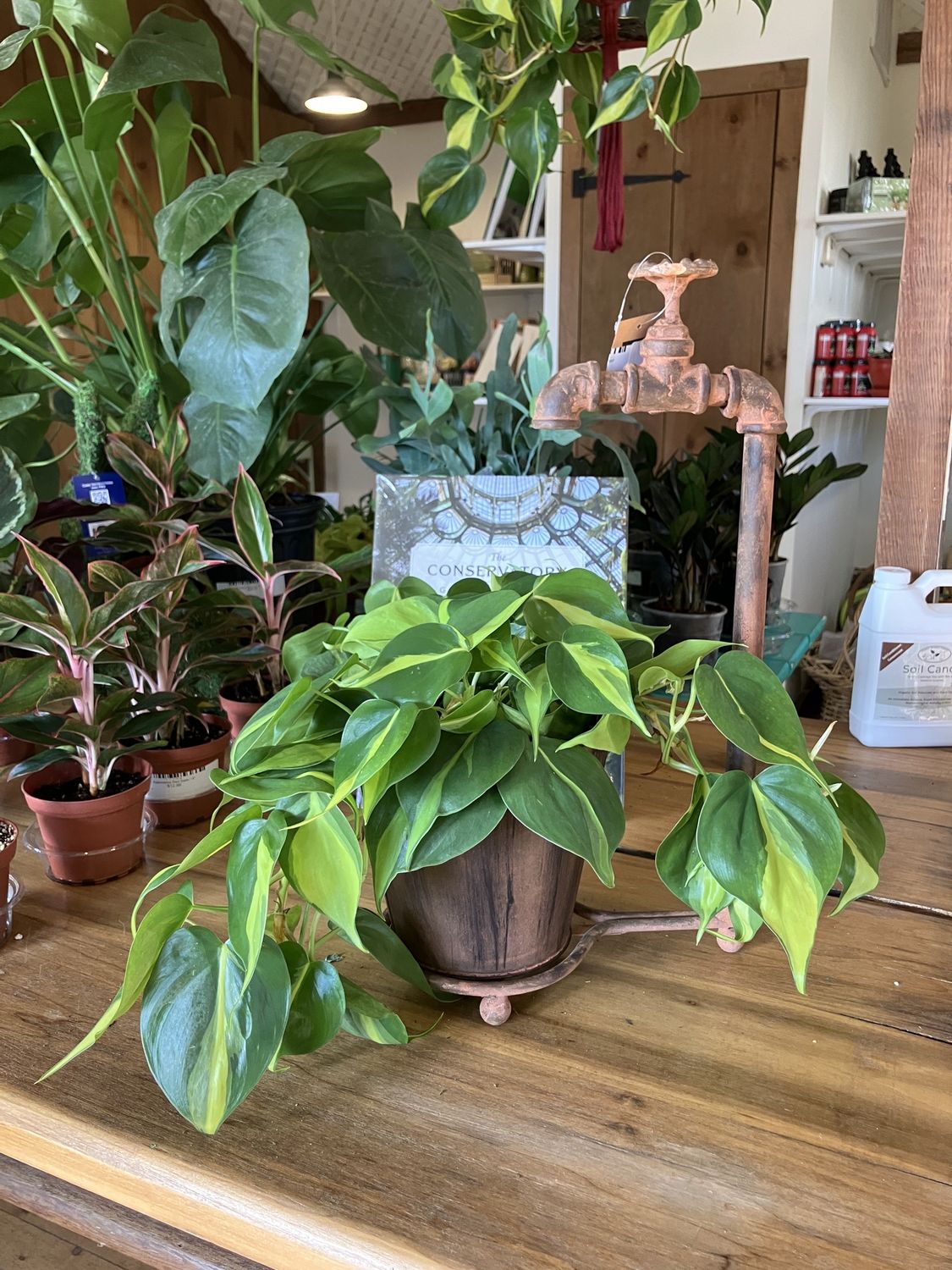 Water Spigot Tabletop Planter