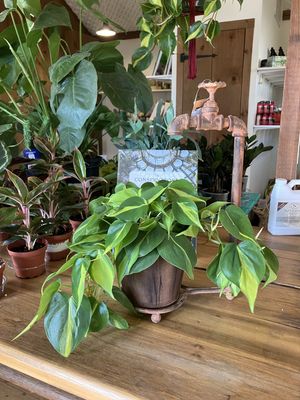 Water Spigot Tabletop Planter