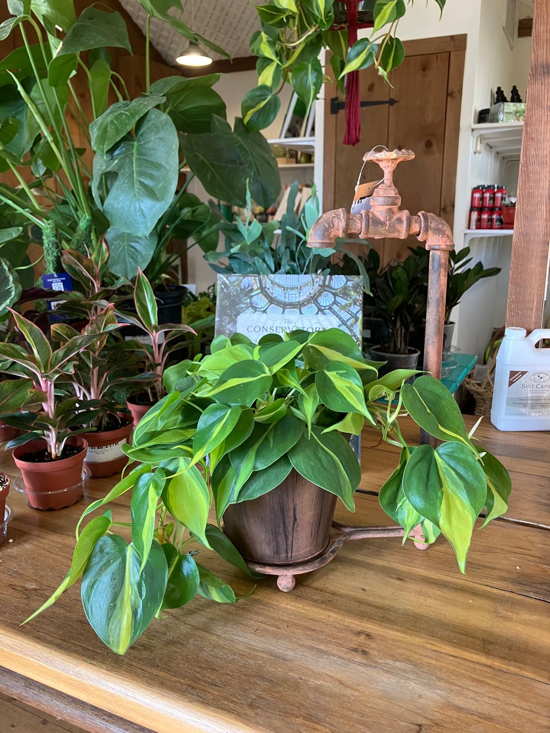 Water Spigot Tabletop Planter