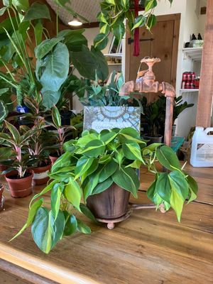 Water Spigot Tabletop Planter