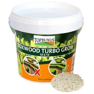 Topbuxus® Boxwood Turbo Grow 13-3-13