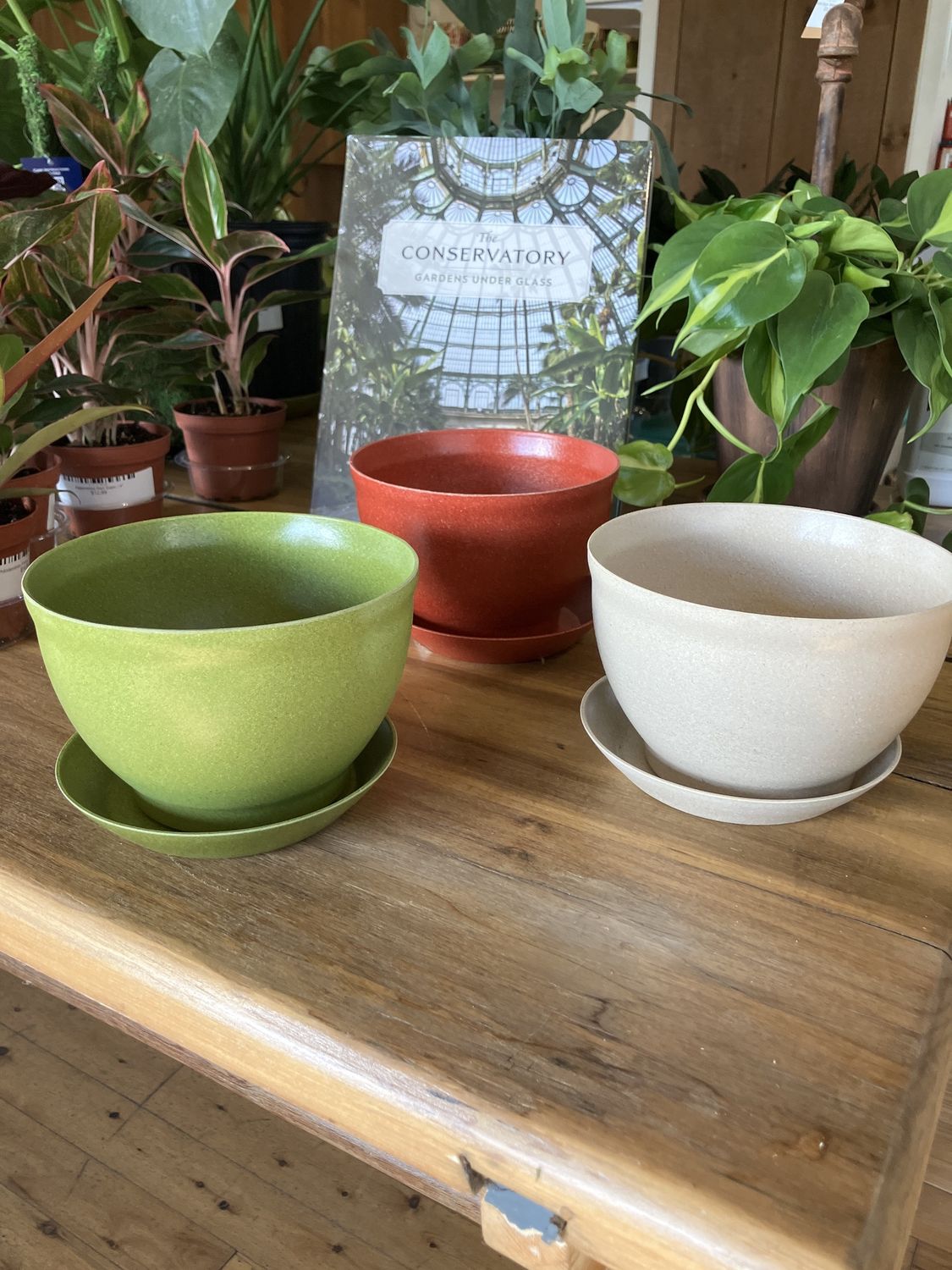 Footed Bowl &amp; Saucer