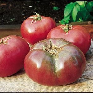 Tomato-Cherokee Purple