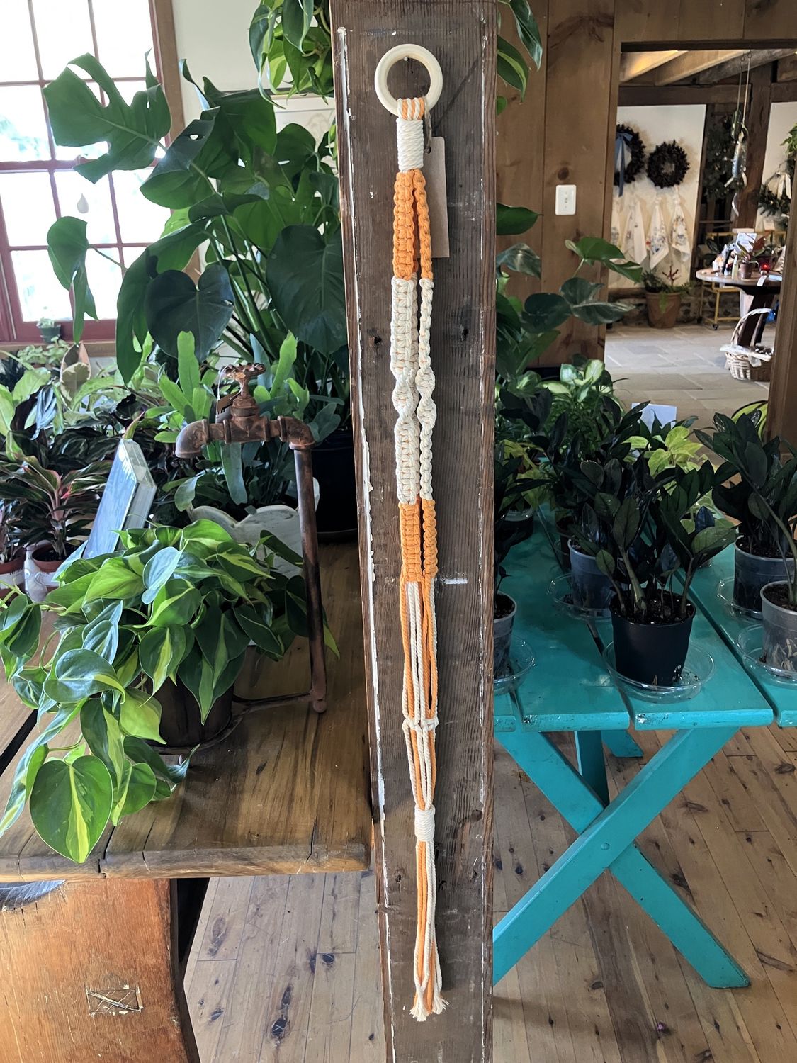Macrame Plant Hanger