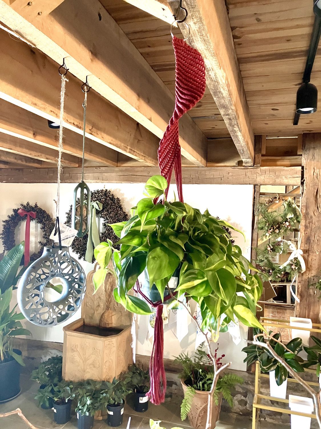 Macrame Plant Hanger