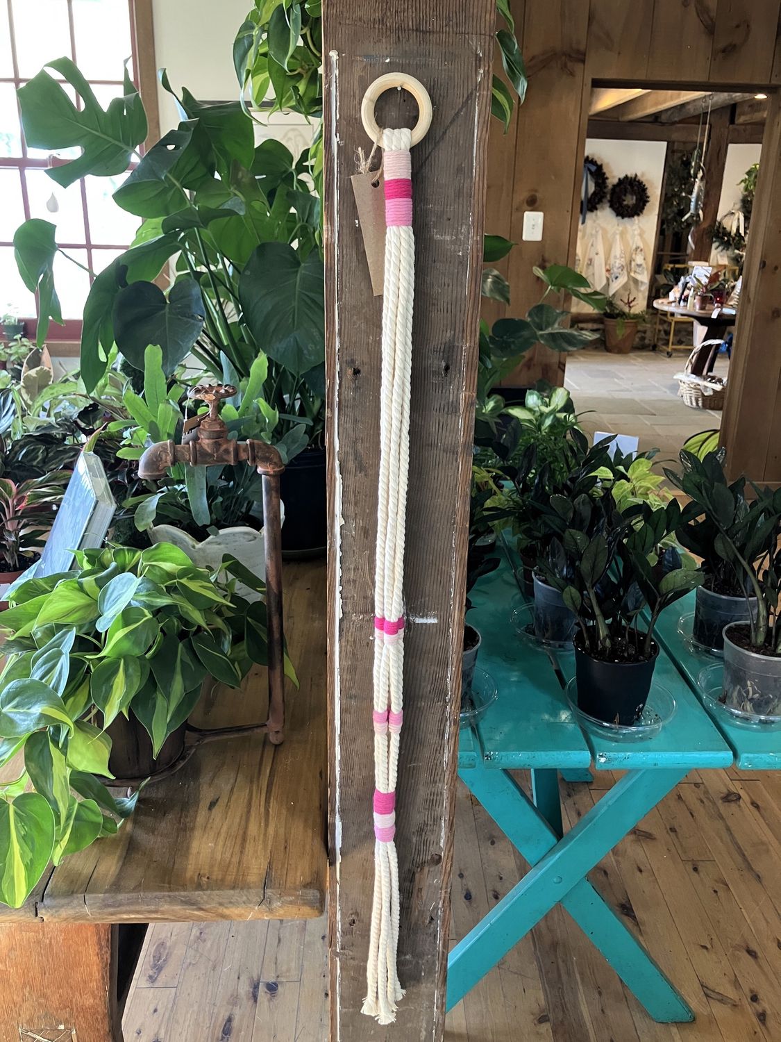 Macrame Plant Hanger