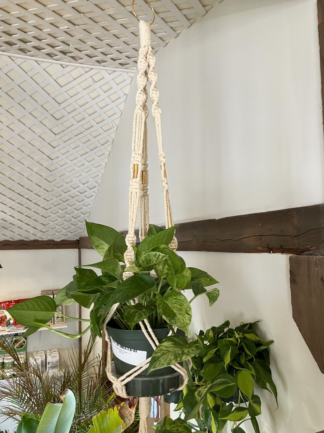 Macrame Plant Hanger