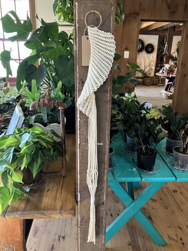 Macrame Plant Hanger