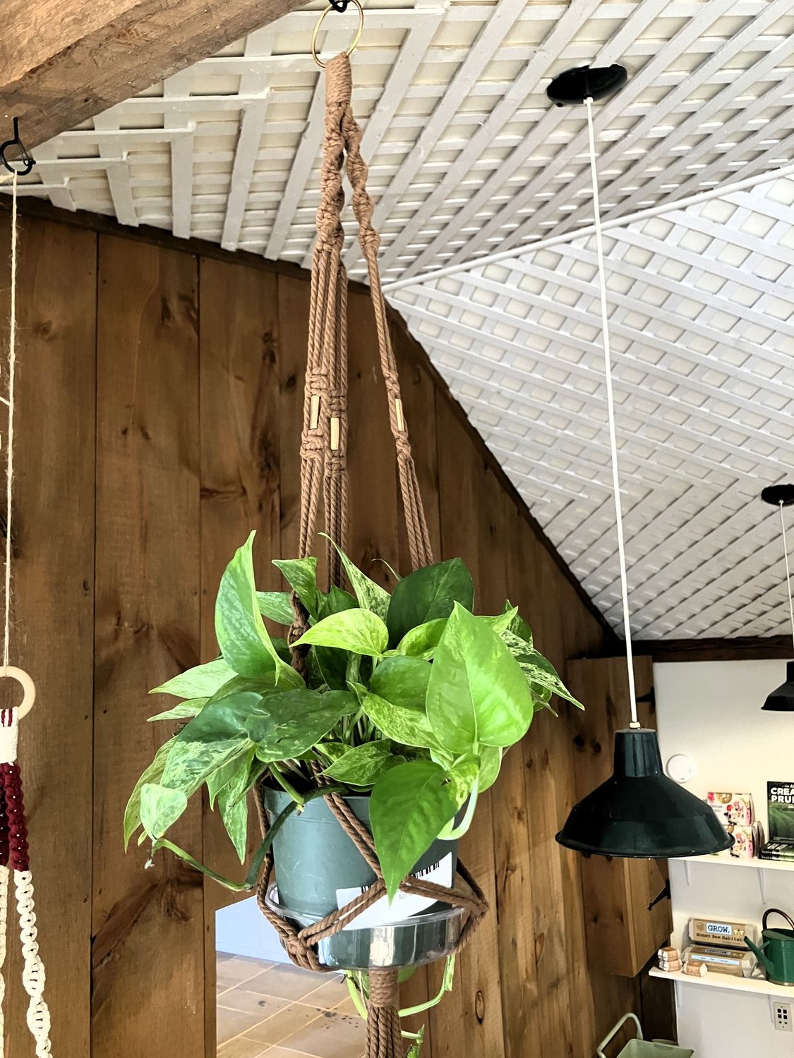 Macrame Plant Hanger