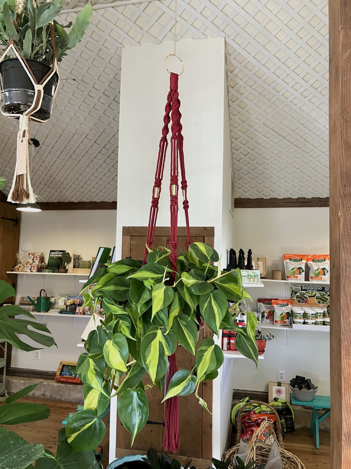 Macrame Plant Hanger