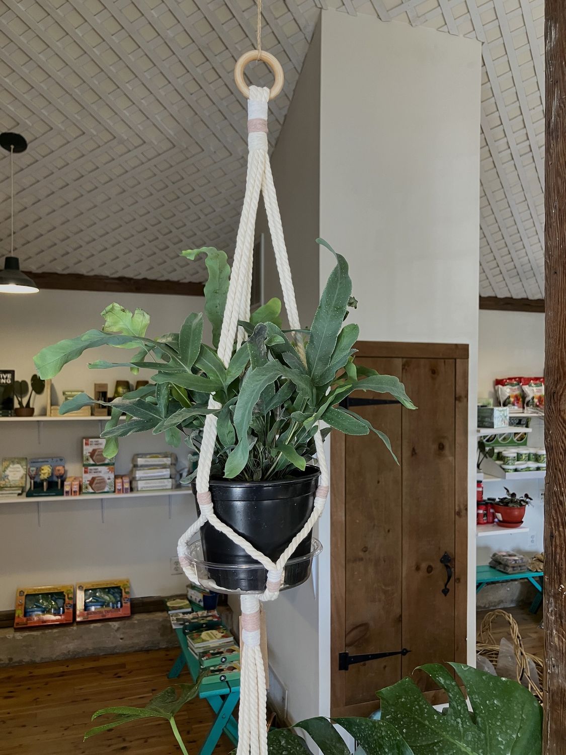 Macrame Plant Hanger