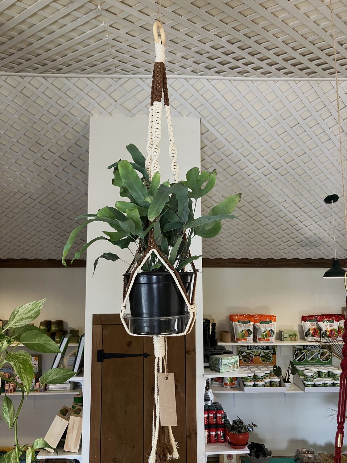 Macrame Plant Hanger