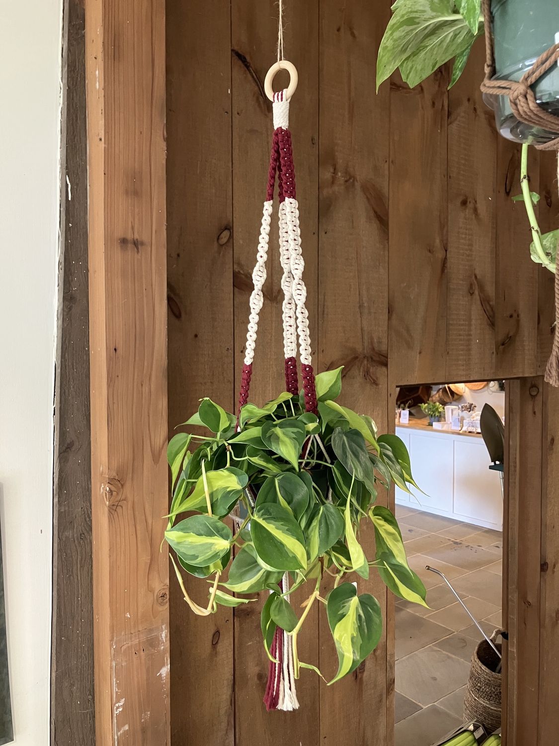 Macrame Plant Hanger