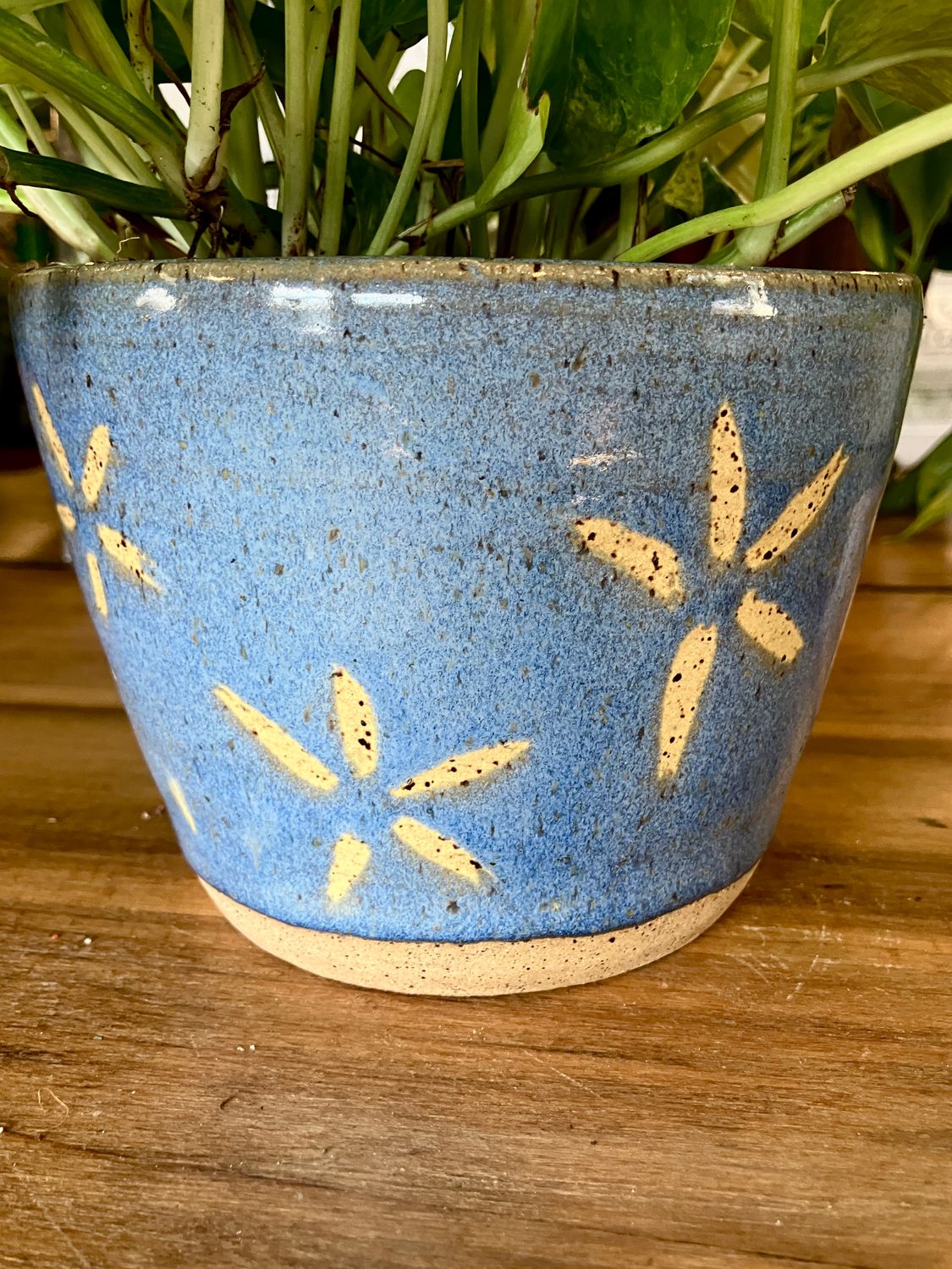 Pothos Marble Queen in Earthen Rain Handmade Ceramic