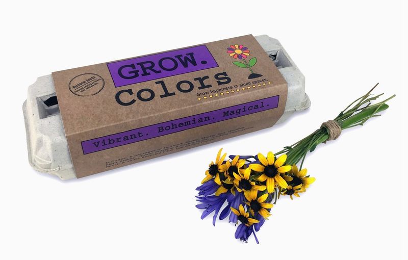 Colors Flower Garden Grow Kit