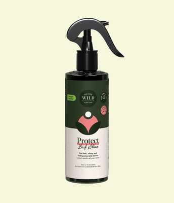 Protect Organic Leaf Spray 16.9 oz