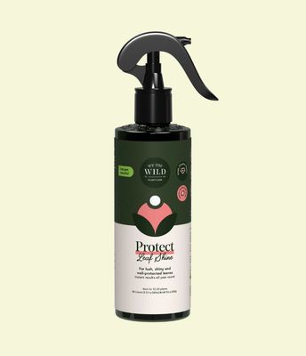 Protect Organic Leaf Spray 16.9 oz