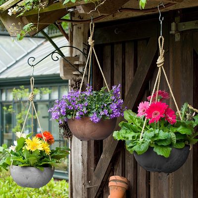 Napa Hanging Bowl Planter 10"