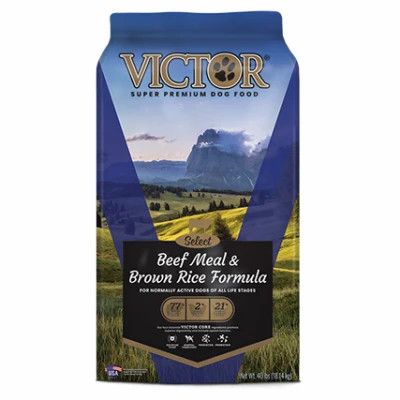 VICTOR DOG BEEF/RICE ALS 23/11 40#
