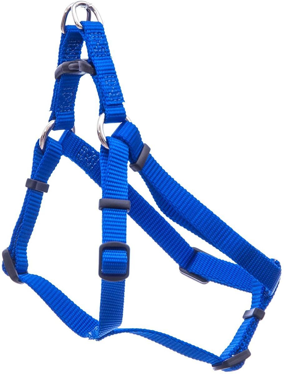 COMFORT HARNESS BLUE 3/8"x12-18"