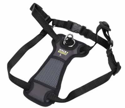 WALK RIGHT HARNESS SML