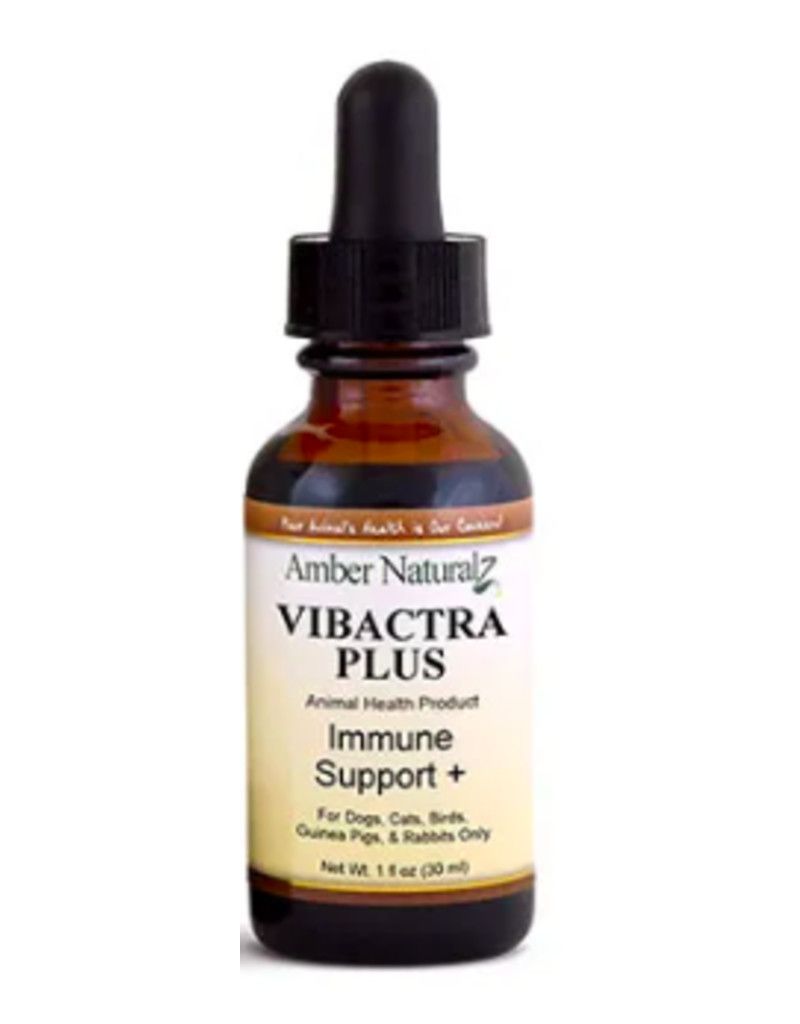 VIBACTRA PLUS 1OZ