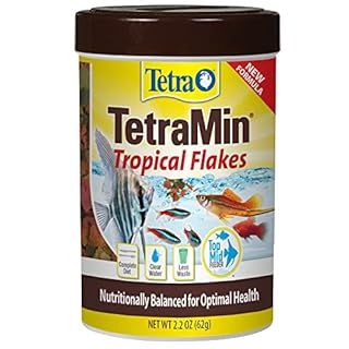 TETRA FOOD TETRAMIN FLK 2.2OZ