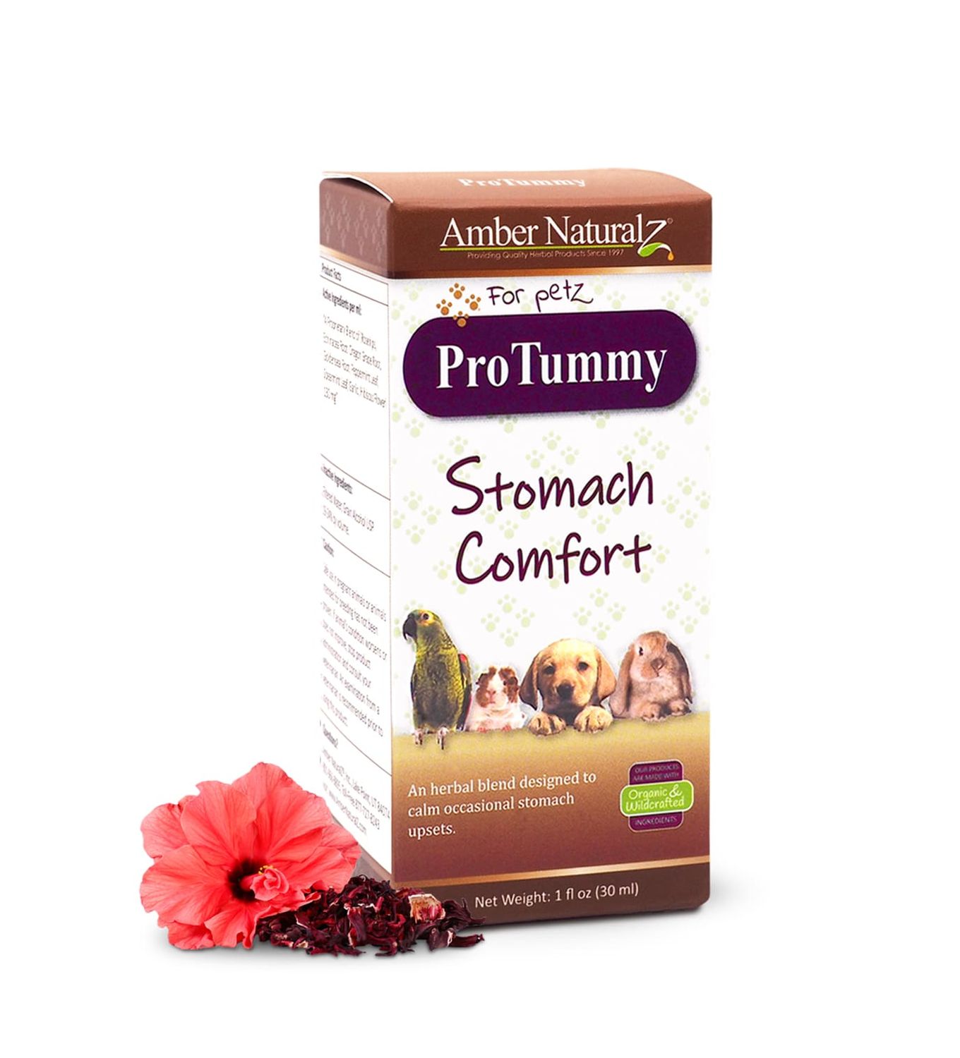 PROTUMMY DIGESTIVE SUPPORT 1OZ