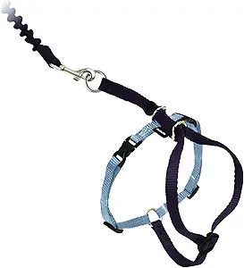 PETSAFE COME WITH ME KITTY LG BLK