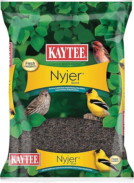 KAYTEE NYJER SEED 3#