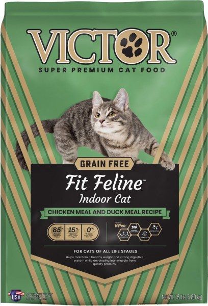 VICTOR GF FIT INDOOR CAT 5#