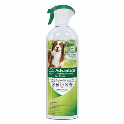 ADVANTAGE TRTMT SPRY DOG 15OZ