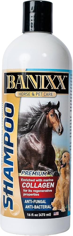 BANIXX HORSE MED SHAMP COLLAGEN 16OZ