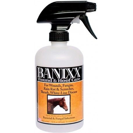BANIXX WOUND CARE 16OZ