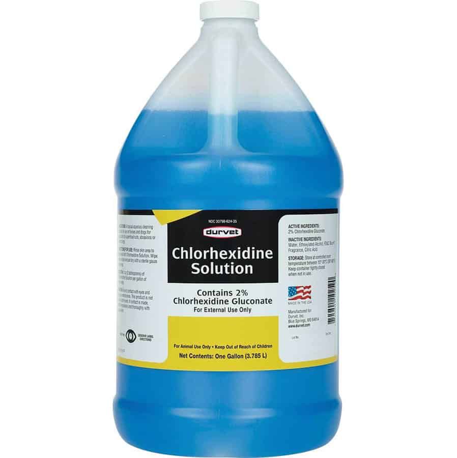 CHLORHEXIDINE SOLUTION 2% GAL